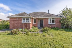 Wanting Investors - Make An Offer!