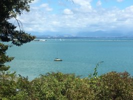 Prime 1758m2 Section and Cottage in Atawhai Drive