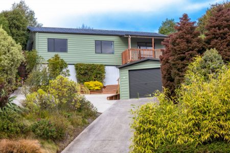 Another SOLD - Multi Offers -Sun Blessed Elevated Home