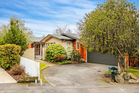 Magnificent Family Home - Top School Zones!