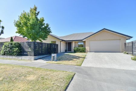Sunny Spacious And Sophisticated