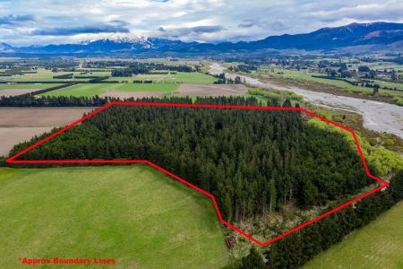 32 Acres With Options