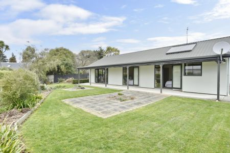 LOOKING FOR A REAL KIWI YARD?