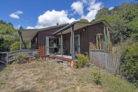 Your Kiwi Dream Awaits Here!