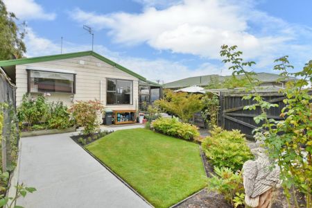 Sun-Soaked Garden Oasis!