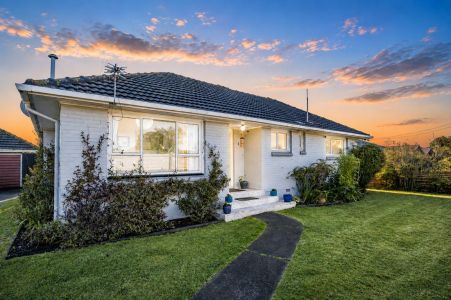Sleek, Sunny, And A Yard To Envy!