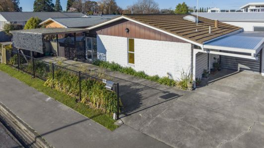 Freshly Presented Rangiora Gem