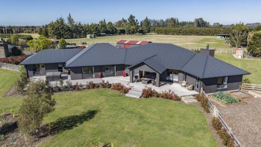 Two Homes + Exceptional Shedding