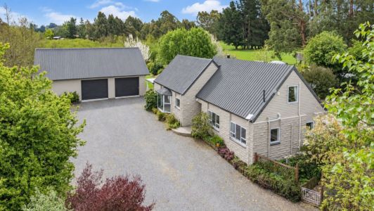 5 Acres, 2 Dwellings, Serious Shedding!